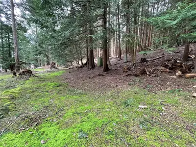 View 39