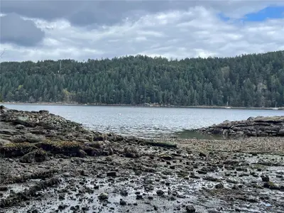 View 29