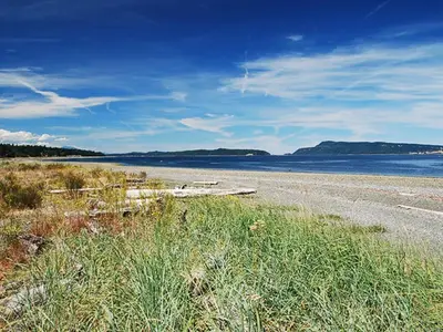 View 29