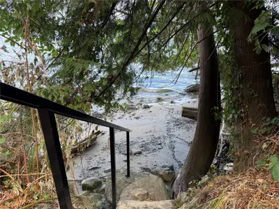 View 66