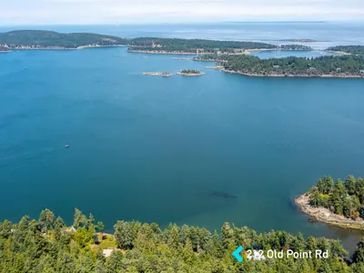 View 41