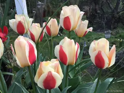 View 60