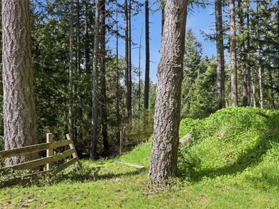 View 23