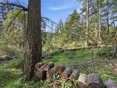 View 24
