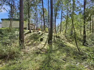 View 30