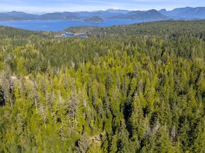 View 34