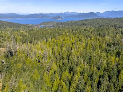 View 33