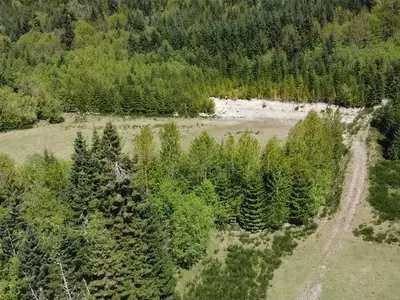 View 16