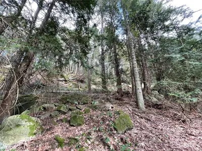 View 17