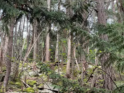 View 16