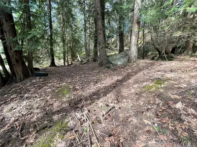 View 19