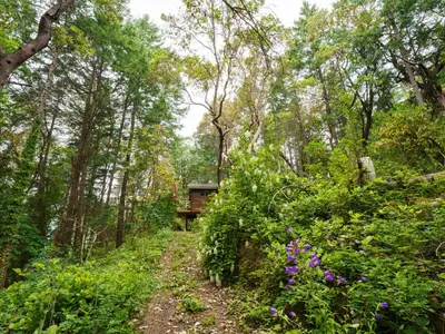 View 5