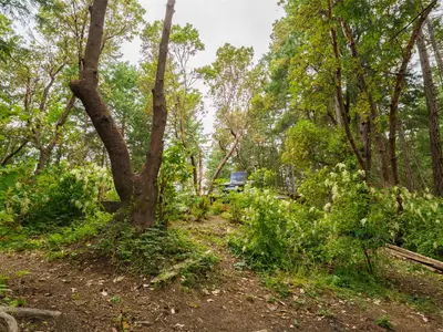View 41