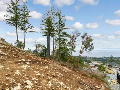 View 3