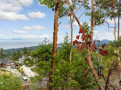 View 14