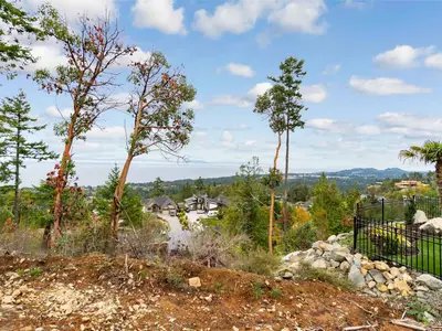 View 15