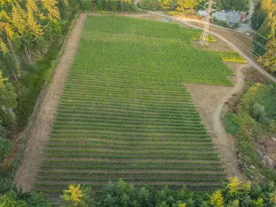 View 15
