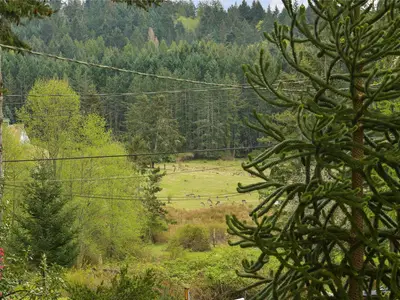 View 38