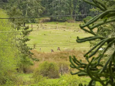 View 37