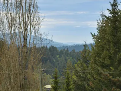 View 40