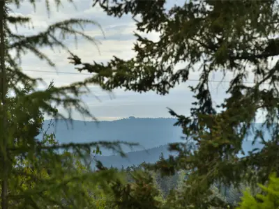 View 39
