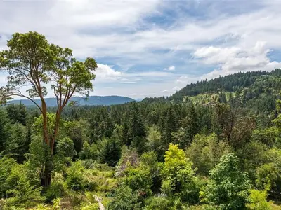 View 33