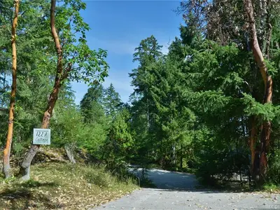 View 51