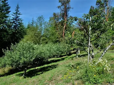 View 60