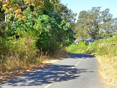 View 10