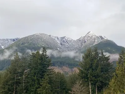View 35
