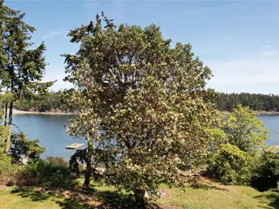 View 12
