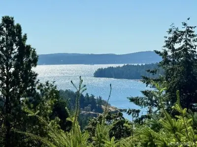 View 10