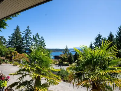 View 15