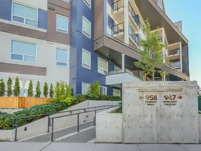 View 25