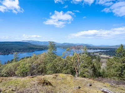View 71