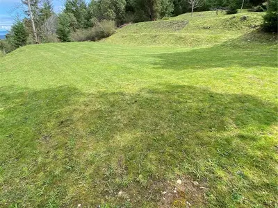 View 61