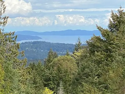 View 58