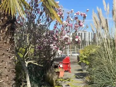 View 12