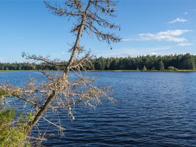 View 26