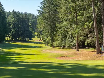 View 18