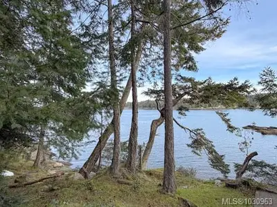 View 24