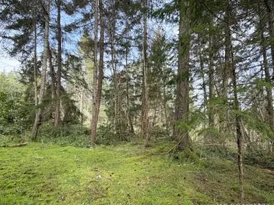 View 13