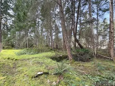 View 16