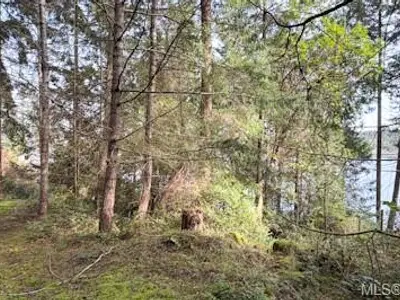 View 7