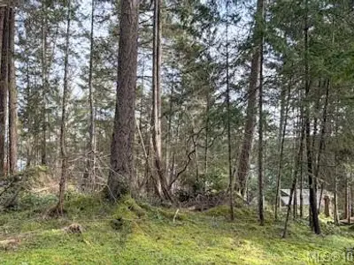 View 15