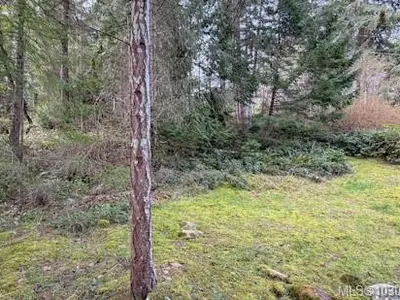 View 8