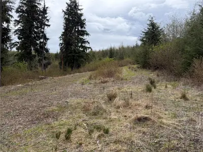 View 27
