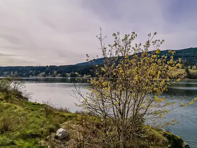View 12