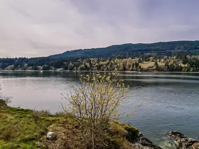 View 14