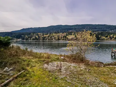 View 15